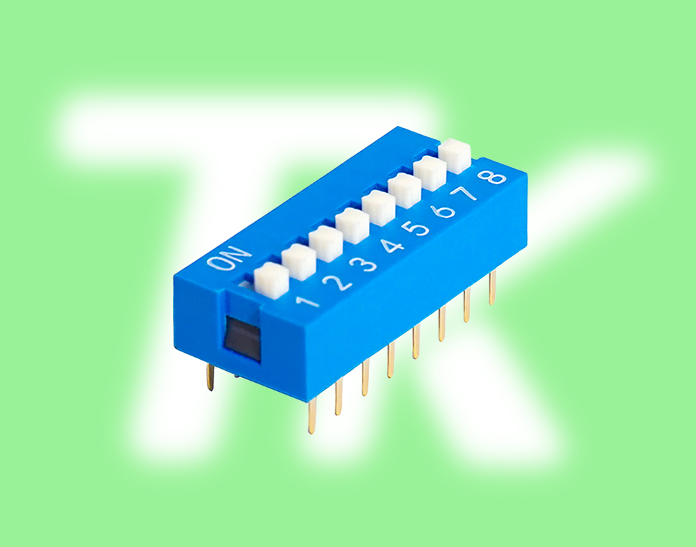 撥碼開(kāi)關(guān) 10